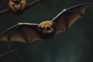 Ghost Bat Overview and Characteristics