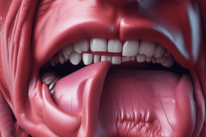 Anatomy of the Tongue Muscles