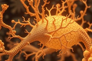 Cours: Neurogenesis and Development