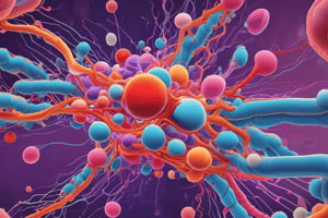 Glucose Uptake and Transport Mechanisms