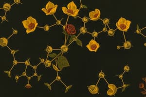 Amino Acid Catabolism and Transamination