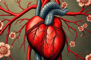 Physiologie cardiovasculaire - Cours 12