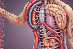 Anatomia del Tratto Gastrointestinale