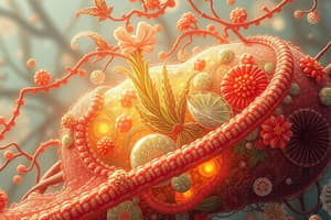 Transmembrane Transport of Molecules