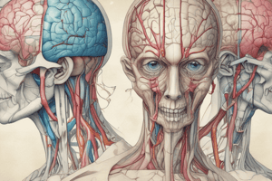 Cranial Nerves Examination