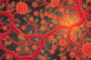 Regulation of Arteriole Diameter