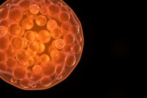 Cell Cycle Overview