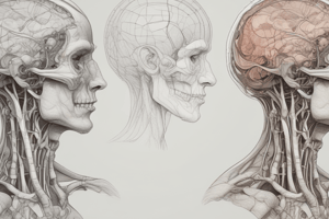 Anatomical Variants in Developmental Biology