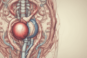 Pelvic Viscera: Urinary Organs