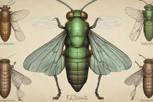 Cicada Life Cycle: Understanding the 2024 Brood