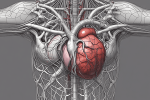 Heart Structure and Function