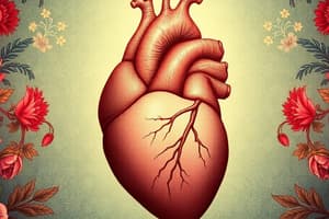 Cardiac Output and Stroke Volume Adaptations