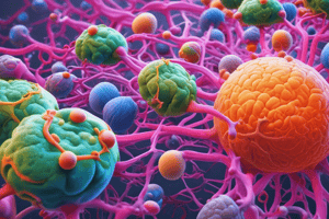 Cell Differentiation Process