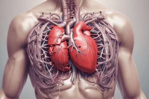 Chest Pain Classification: Cardiac and Non-Cardiac Causes