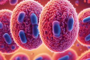 E.coli O157:H7 and its Pathogenicity