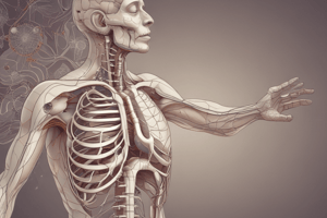 Respiratory System Functions