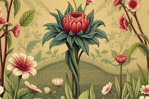 Amélioration des plantes modernes