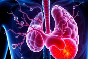 Adrenal Cortex Hormones and Cushing's Syndrome