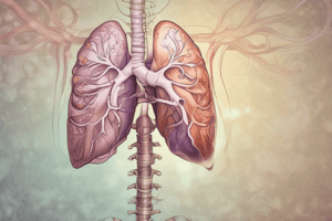 Respiratory System and Disease