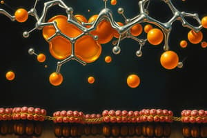 Cholesterol and Vitamin D Synthesis Quiz