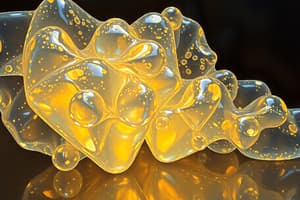 PNIPAM and Chitosan Hydrogels Overview