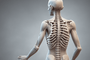 Scoliosis Diagnosis and Classification