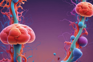 Acetylcholine Pathway in Salivary Gland Cells