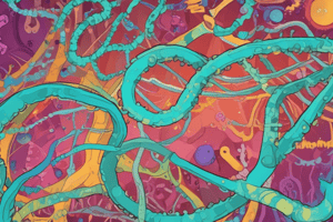 Eukaryotic RNA Polymerases and Assembly