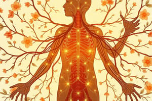 Autonomic Nervous System Overview