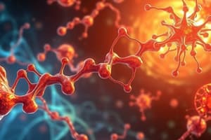 Biochemistry: Anabolic Pathways and Gluconeogenesis