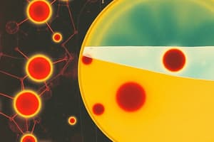 Hemoglobin Synthesis and Citrate Agar Electrophoresis