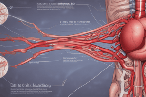 Acute Cholecystitis Pathogenesis