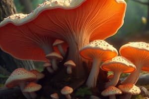 Fungi Overview and Characteristics