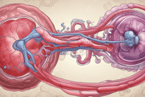 General and Systemic Pathology: Non-Neoplastic Glomerular Diseases