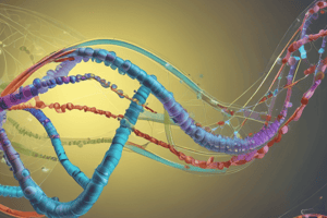 RNA Regulation in Eukaryotes