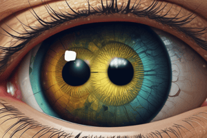 Amazing Eyes and Retina Structures Quiz