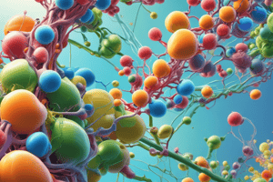 Glycolysis Overview and Stages