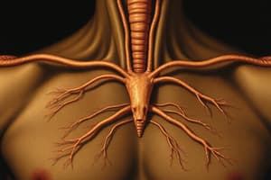 Science Grade 10: The Endocrine System