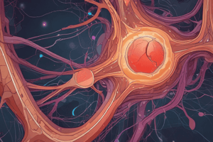 Adrenal Gland Structure and Function