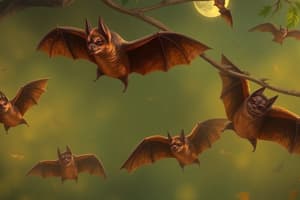 Straw-Colored Fruit Bat Migration