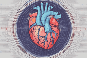 Introduction to Echocardiography