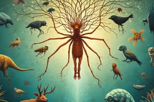 Ecology: Food Chains, Webs & Biomes