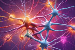 Action Potential Phases Quiz