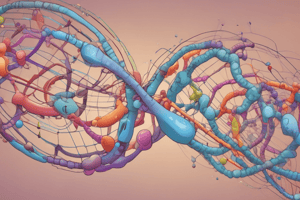 Protein Synthesis Regulation