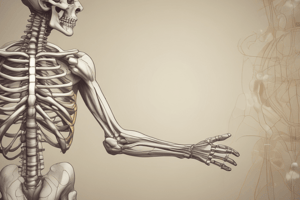 Types of Synovial Joints