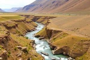 Alluvial Channels and Rivers