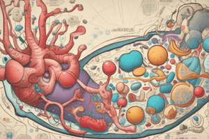 Monosaccharides: Classification and Nomenclature