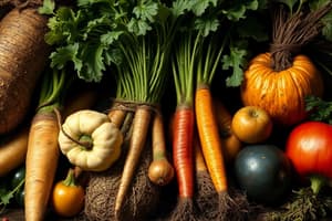 Vegetable Classification Quiz