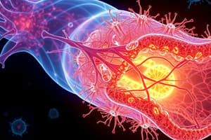 Neural Crest Cells Differentiation