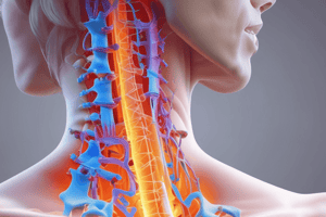 Degenerative Disc Diseases of the Cervical Spine